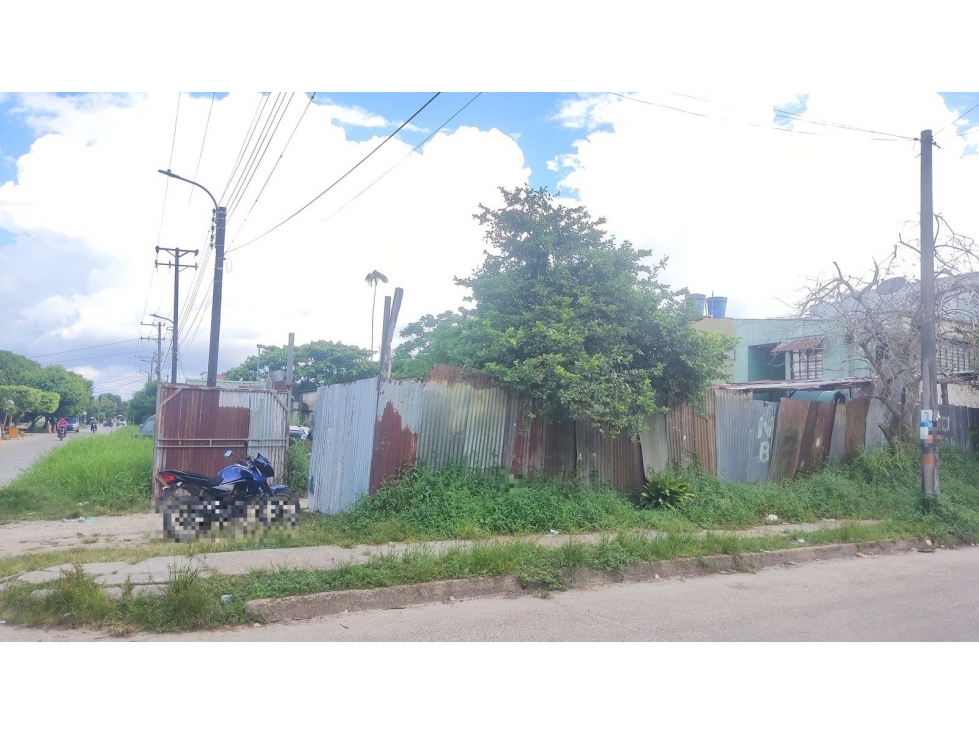 LT 1 CR 8 11 91 — foto 5