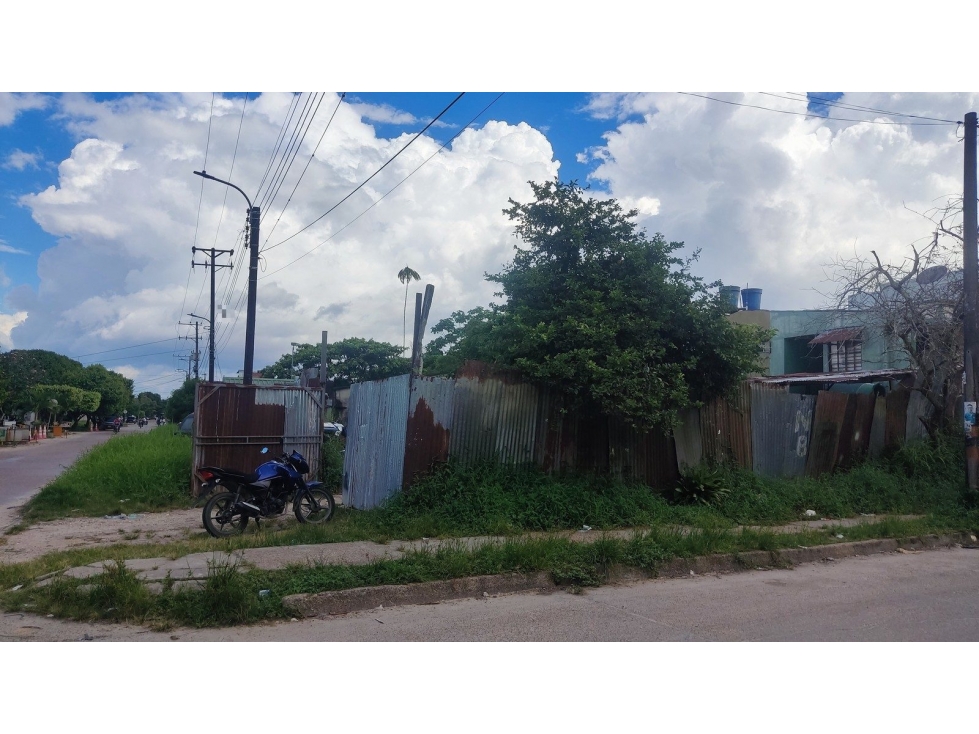LT 1 CR 8 11 91 — foto 6