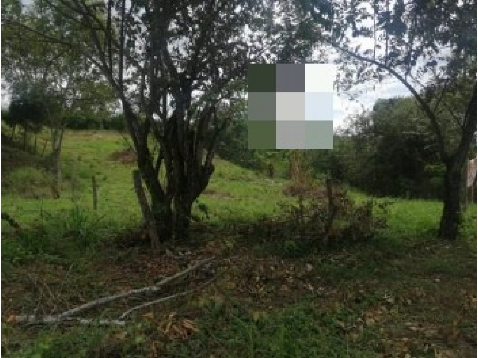 LT 539 HACE PARTE DE LA PARCELACION ALTOS DE PALMARA — foto 3