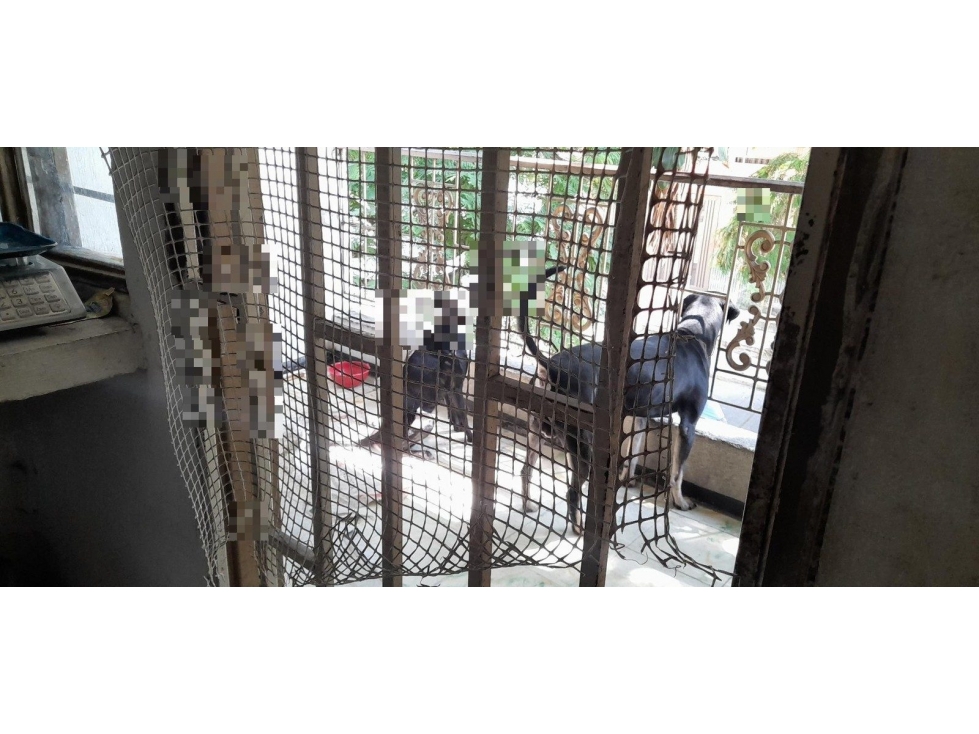 LT 5 MZ Q CL 17 A 25 A 26 URB PORTALES DEL RECREO — foto 6