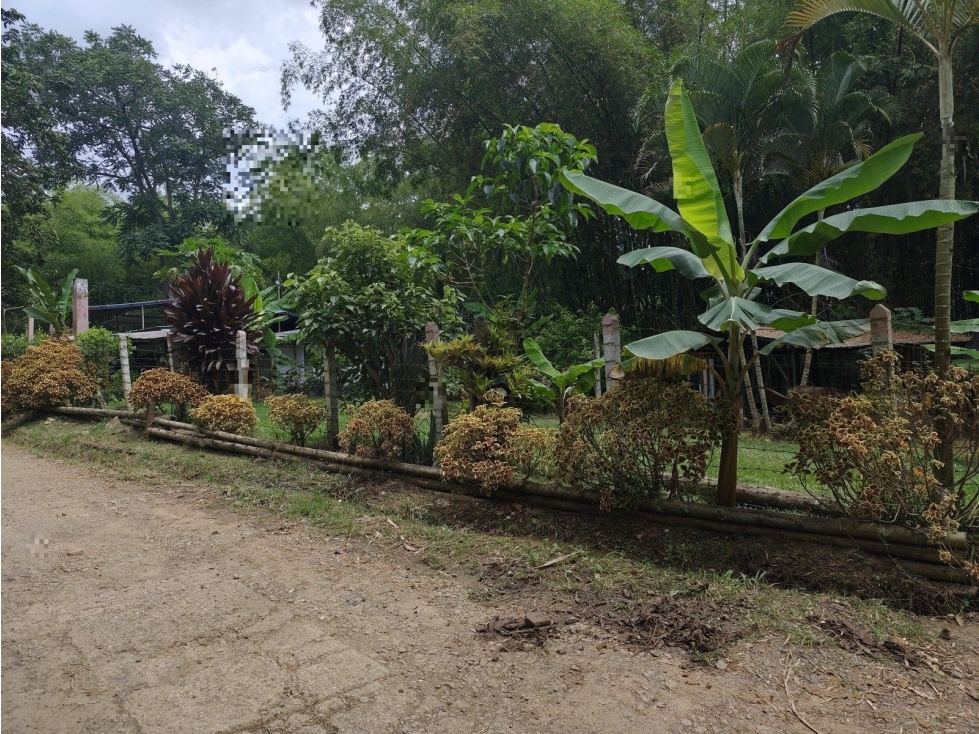 LT CASA VIEJA — foto 4
