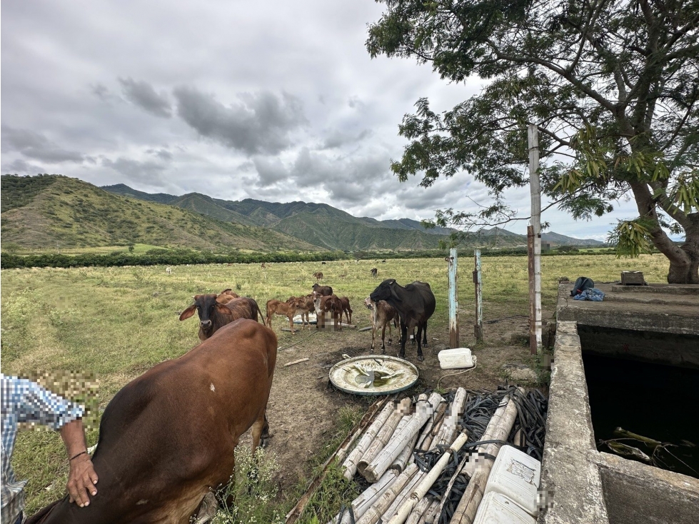 LT CORREGIMIENTO SANTA RITA ROLDANILLO VALLE DEL CAUCA - 5