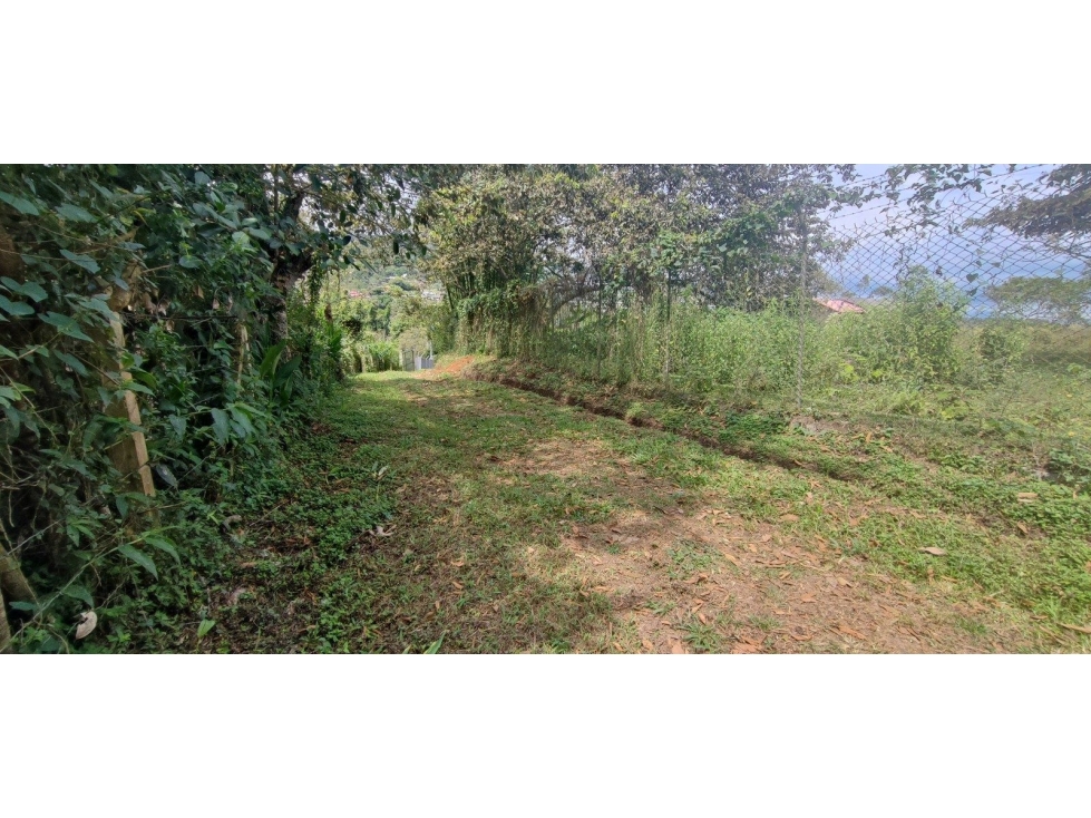 LT DE TERRENO Y MEJORA CAMPO ALEGRE CORREGIMIENTO DE SAN BERNARDO — foto 2