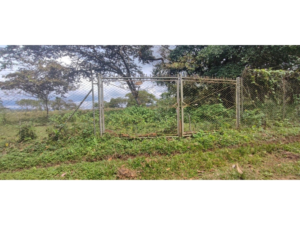 LT DE TERRENO Y MEJORA CAMPO ALEGRE CORREGIMIENTO DE SAN BERNARDO — foto 4