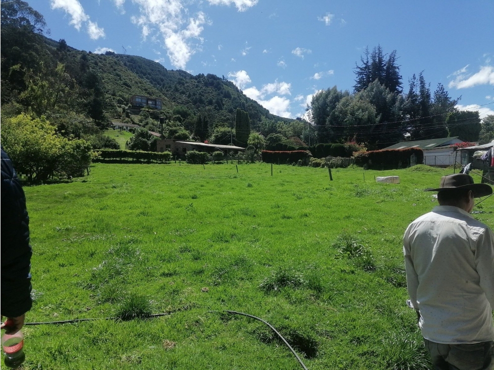 LT EL RECUERDO O LOS ZAUCES — foto 2