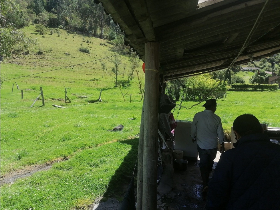 LT EL RECUERDO O LOS ZAUCES — foto 3