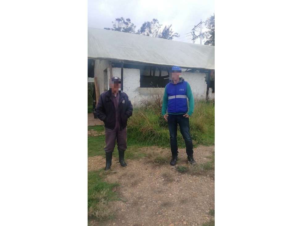LT JERICO VRD TILATA BAJA - 5