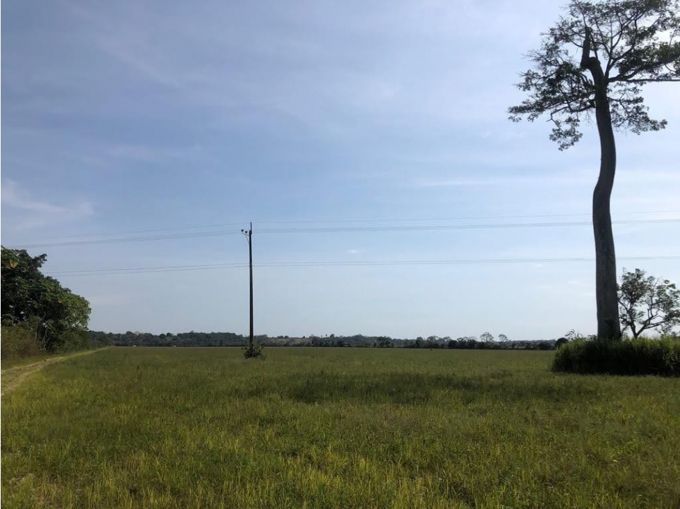 LT LA CEIBA - 1