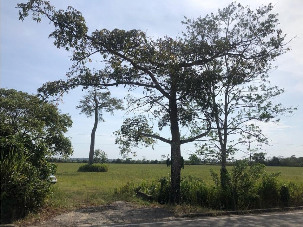 LT LA CEIBA - 2