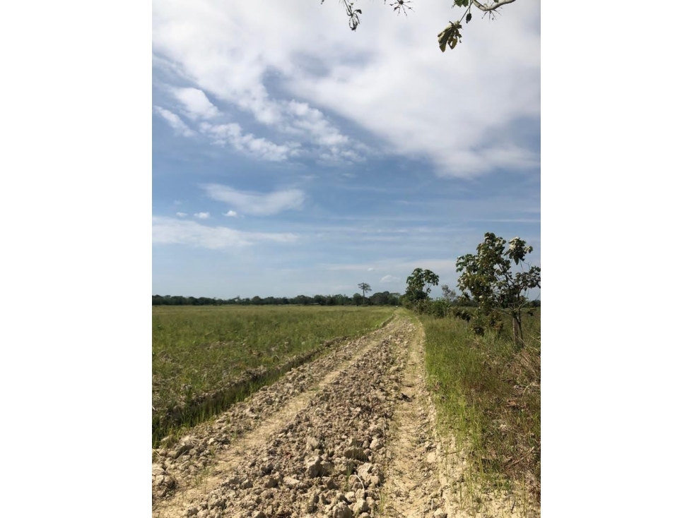 LT LA CEIBA - 4