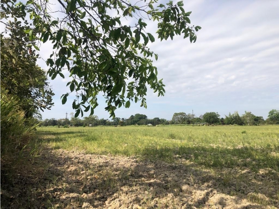 LT LA CEIBA - 5