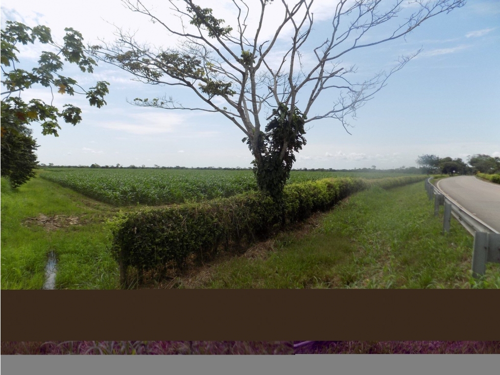 LT LA CEIBA - 6