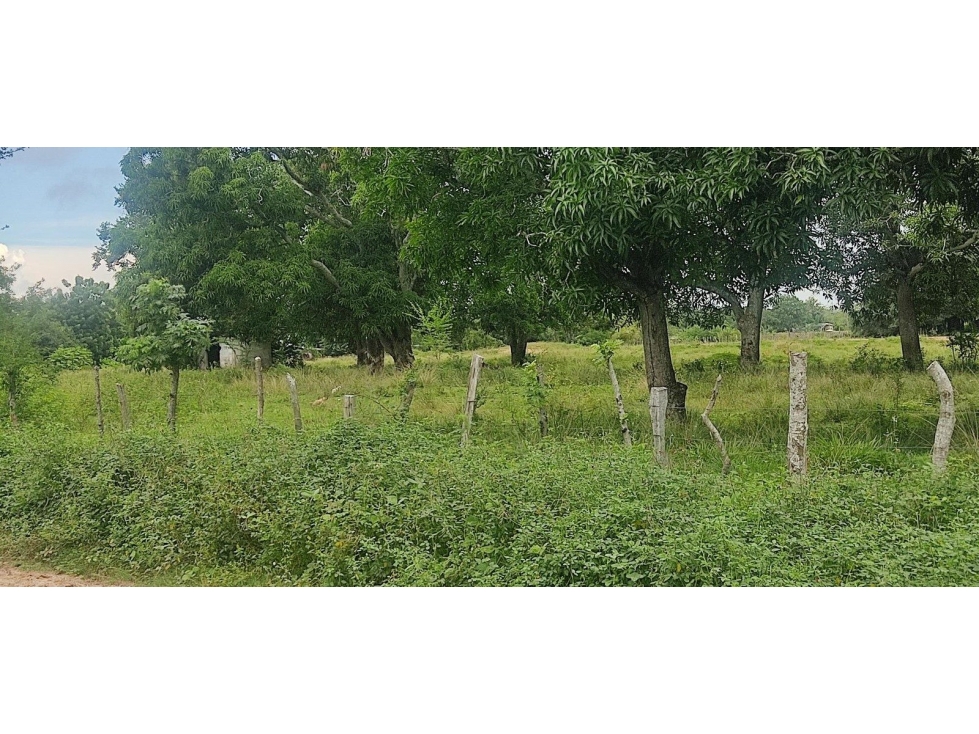 LT LA ESPERANZA - 2