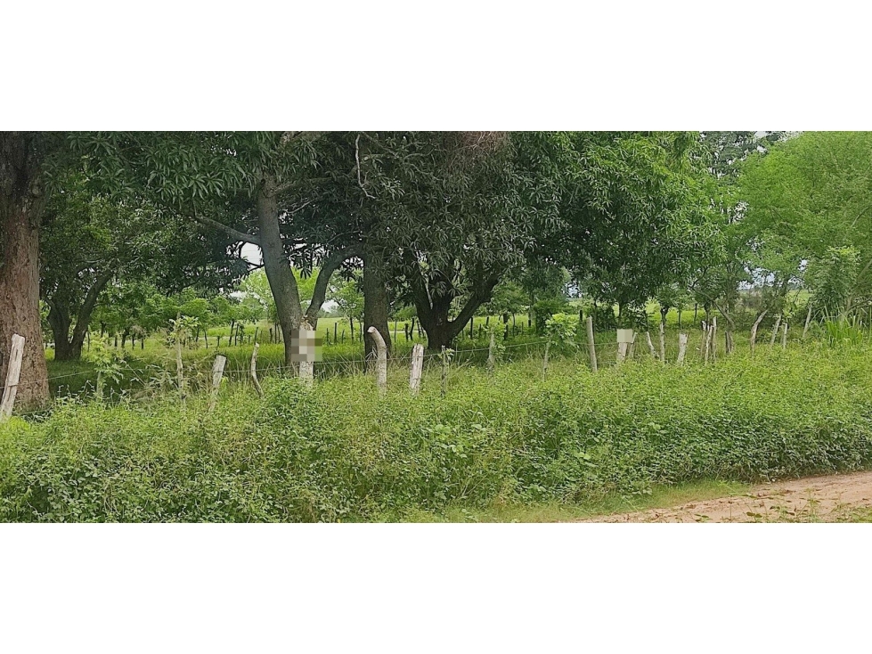 LT LA ESPERANZA - 6