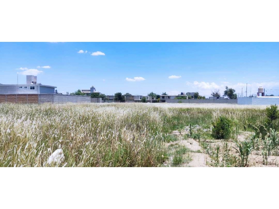 lotes en venta san Jorge Tezoquipan Tlaxcala - 2
