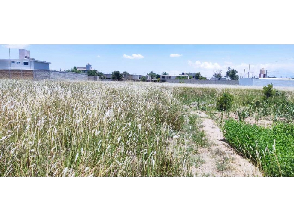 lotes en venta san Jorge Tezoquipan Tlaxcala - 3