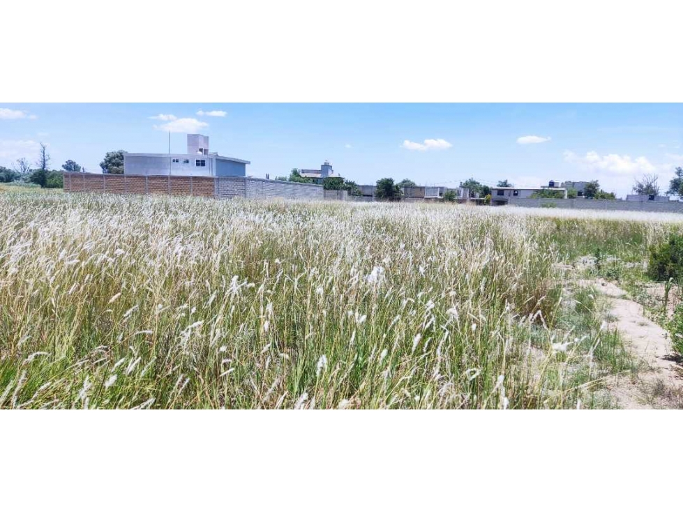 lotes en venta san Jorge Tezoquipan Tlaxcala - 4