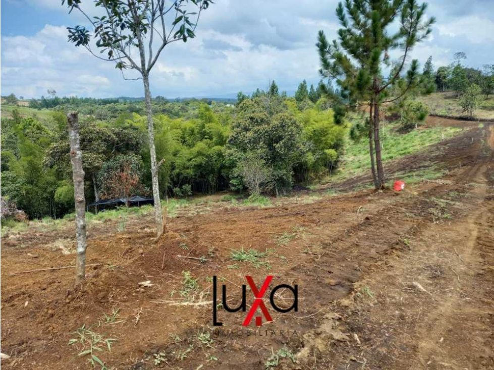 LUXA VENDE O PERMUTA PARCELA ALTOS DE LA CARRILERA POR LAS MARGARITAS — foto 3