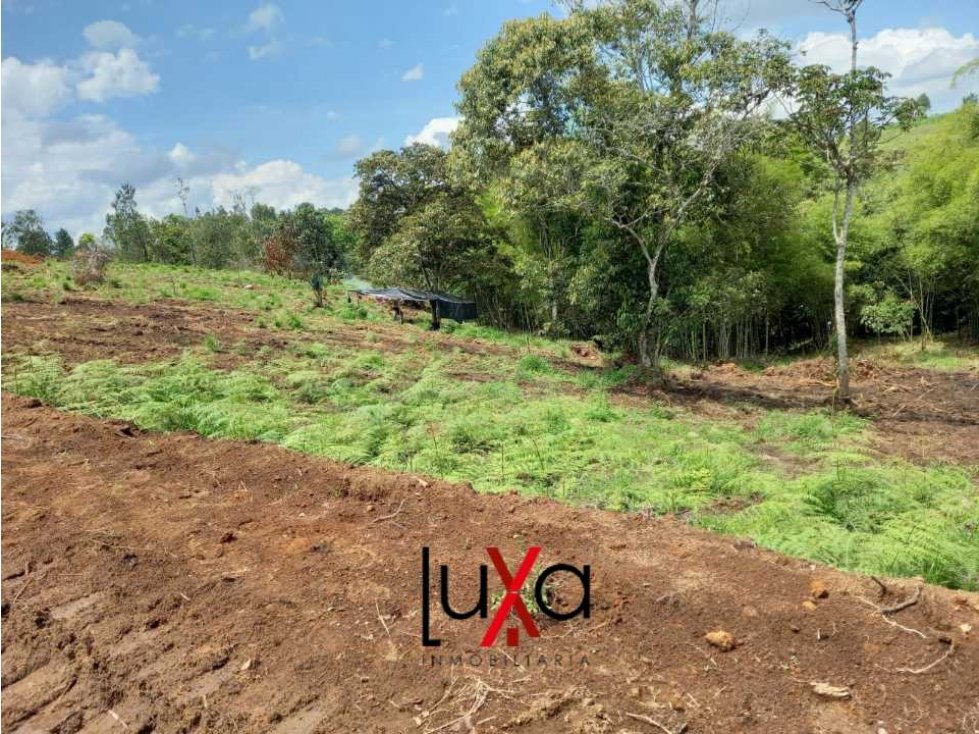 LUXA VENDE O PERMUTA PARCELA ALTOS DE LA CARRILERA POR LAS MARGARITAS — foto 5