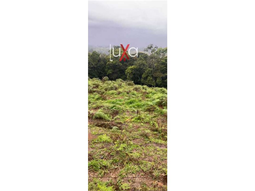 LUXA VENDE HERMOSO LOTE SEMIPLANO PARCELACION LOS ALPES. - 5