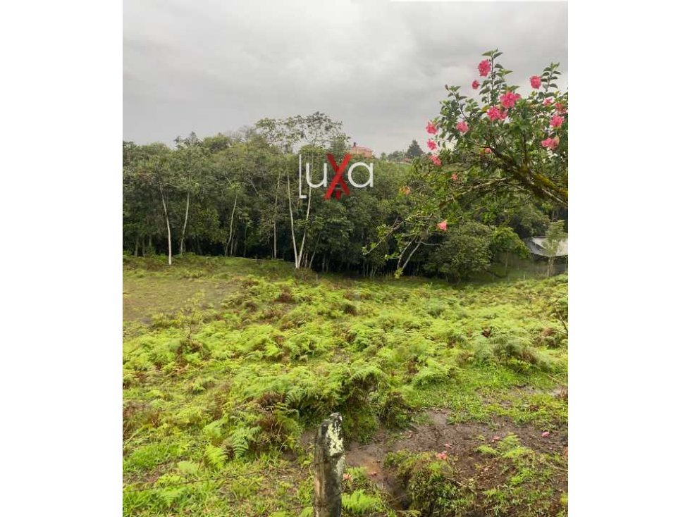 LUXA VENDE HERMOSO LOTE SEMIPLANO PARCELACION LOS ALPES. - 3