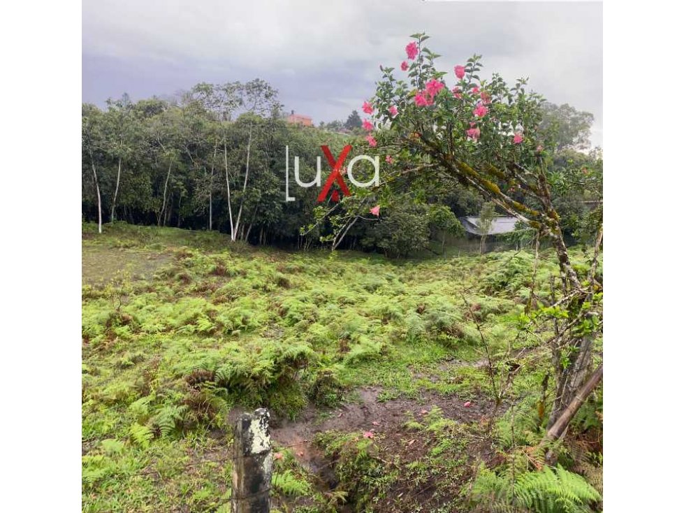 LUXA VENDE HERMOSO LOTE SEMIPLANO PARCELACION LOS ALPES. - 2
