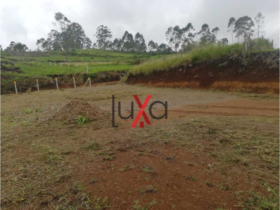 LUXA VENDE HERMOSA PARCELA FRENTE PARADOR LA FRESA SECTOR EL COFRE - 6