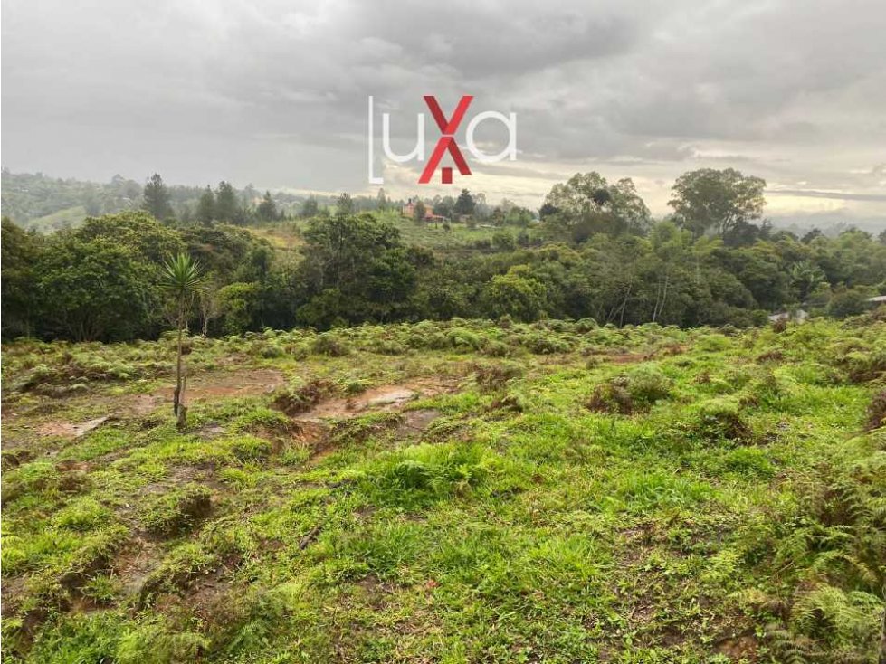 LUXA INMOBILIARIA VENDE LOTES PARCELACIÓN LOS ALPES — foto 2