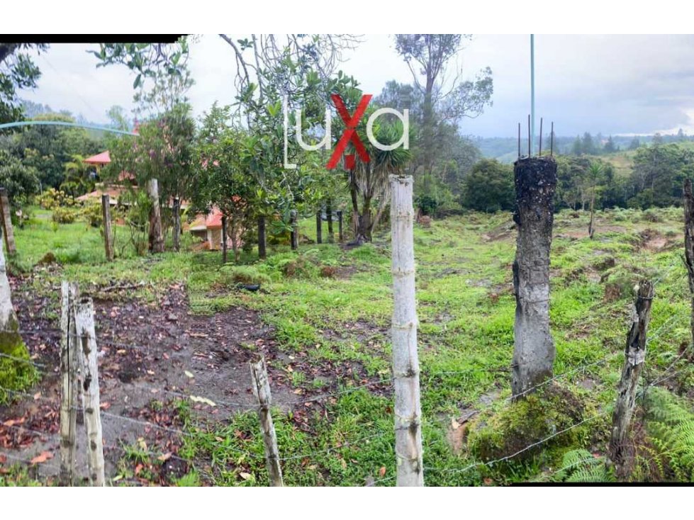 LUXA INMOBILIARIA VENDE LOTES PARCELACIÓN LOS ALPES — foto 3