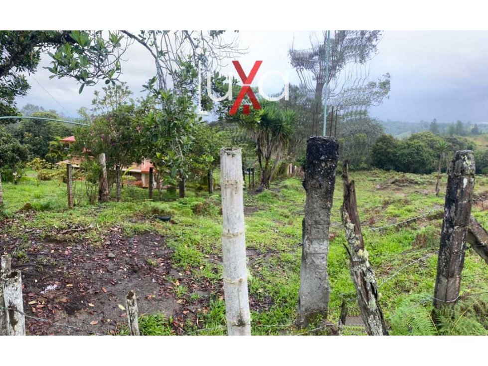 LUXA INMOBILIARIA VENDE LOTES PARCELACIÓN LOS ALPES — foto 5
