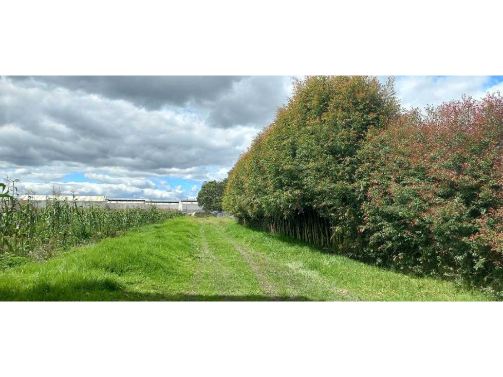 MADRID CUNDINAMARCA, VENDO TERRENO: USO MULTIPLE E INDUSTRIAL - 6