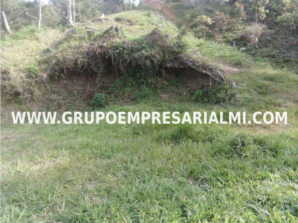 MARAVILLOSO LOTE EN VENTA - SECTOR GUATAPÉ COD: 30282 - 1