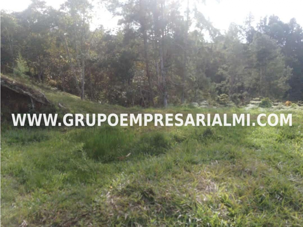 MARAVILLOSO LOTE EN VENTA - SECTOR GUATAPÉ COD: 30282 - 2