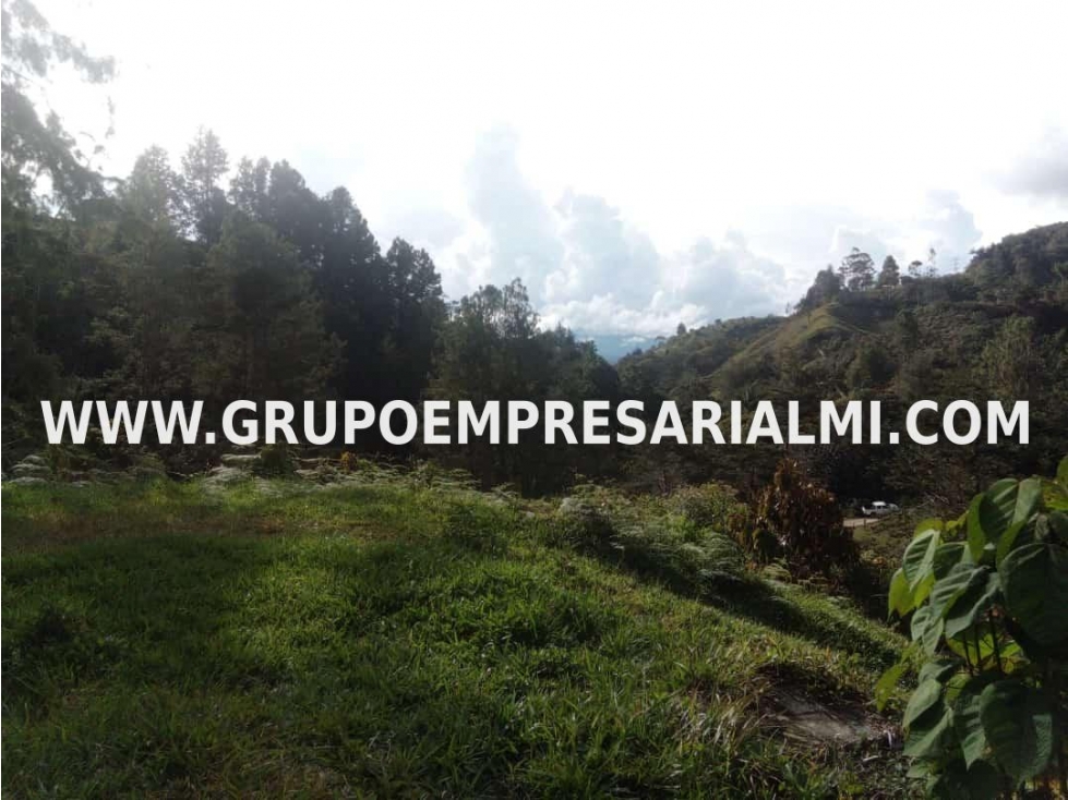 MARAVILLOSO LOTE EN VENTA - SECTOR GUATAPÉ COD: 30282 - 3