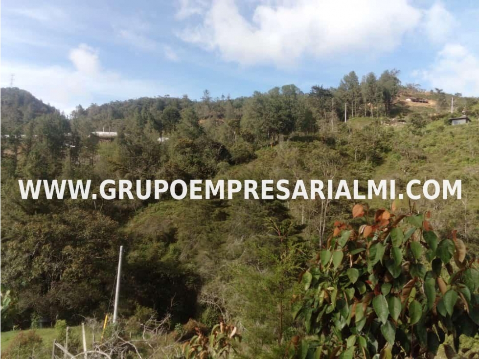 MARAVILLOSO LOTE EN VENTA - SECTOR GUATAPÉ COD: 30282 - 4