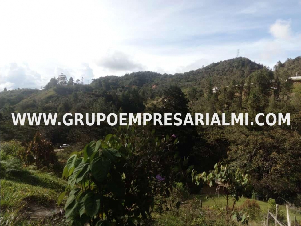 MARAVILLOSO LOTE EN VENTA - SECTOR GUATAPÉ COD: 30282 - 5
