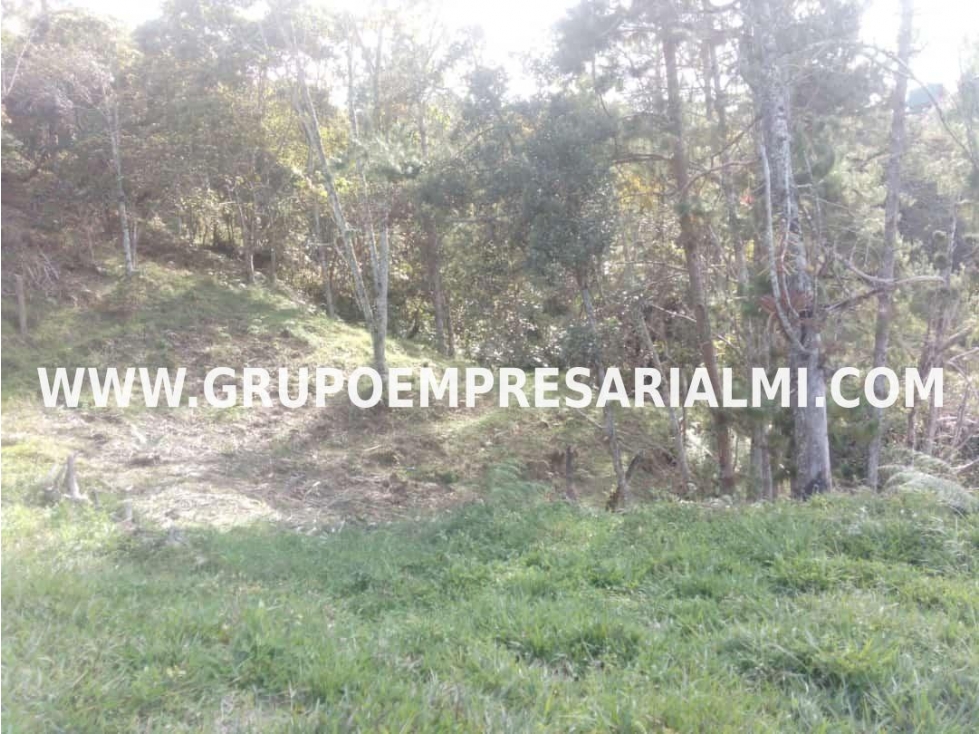 MARAVILLOSO LOTE EN VENTA - SECTOR GUATAPÉ COD: 30282 - 6