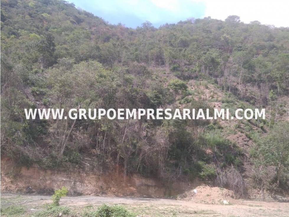MARAVILLOSO LOTE EN VENTA - SECTOR SANTAFÉ DE ANTIOQUIA COD: 31086 - 4