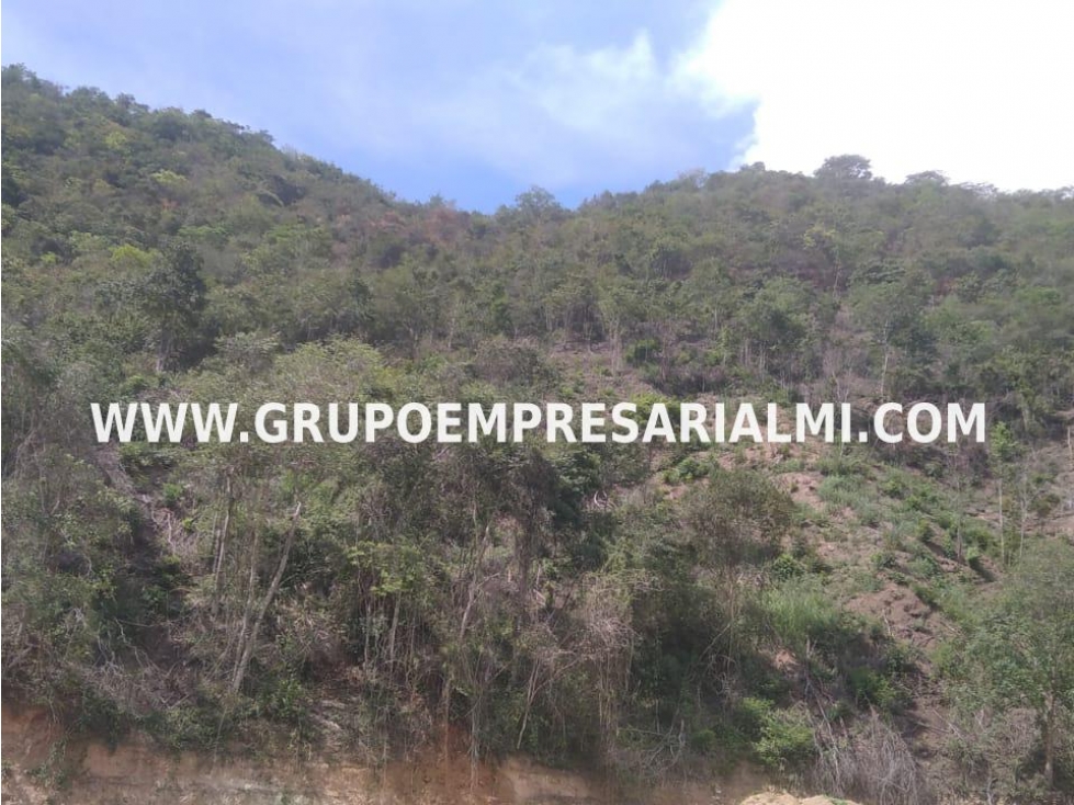 MARAVILLOSO LOTE EN VENTA - SECTOR SANTAFÉ DE ANTIOQUIA COD: 31086 - 5