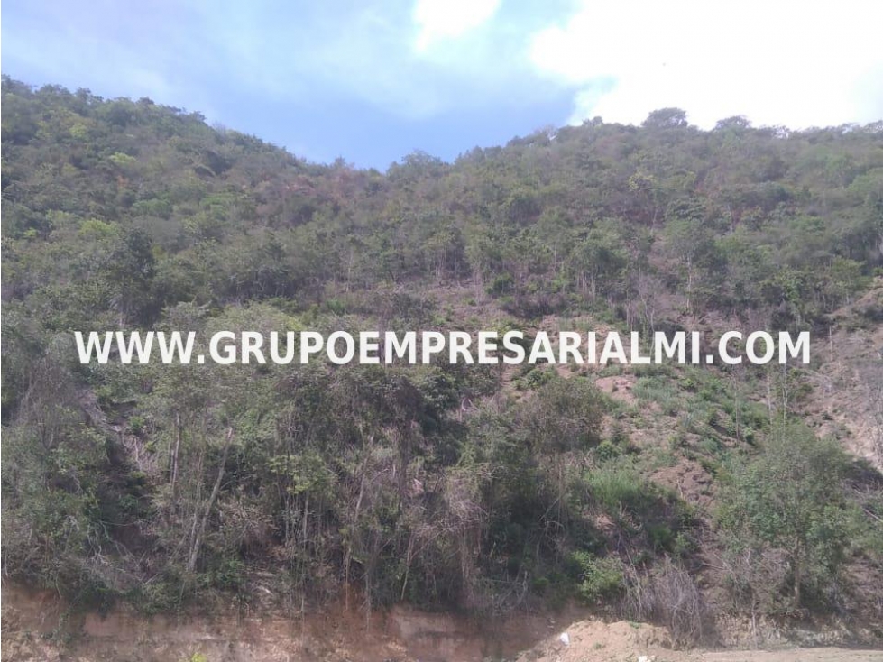 MARAVILLOSO LOTE EN VENTA - SECTOR SANTAFÉ DE ANTIOQUIA COD: 31086 - 6