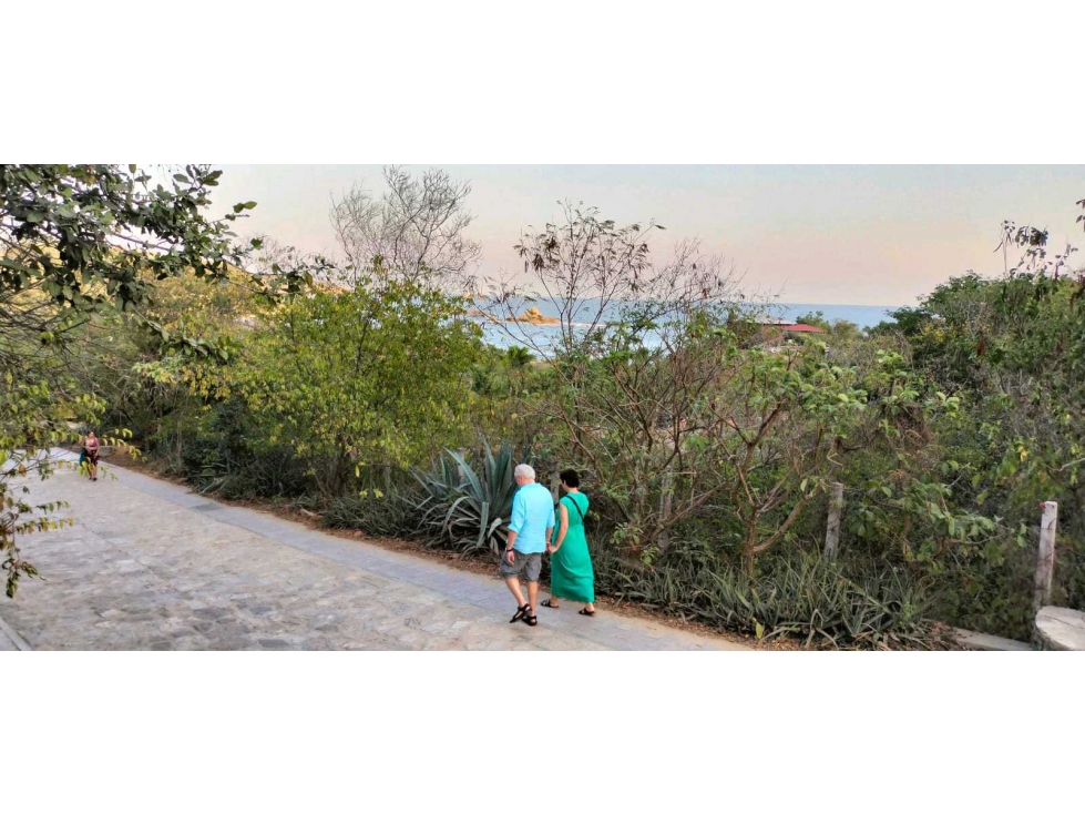 Mazunte/1000 m²/ Zona Turistica - 6