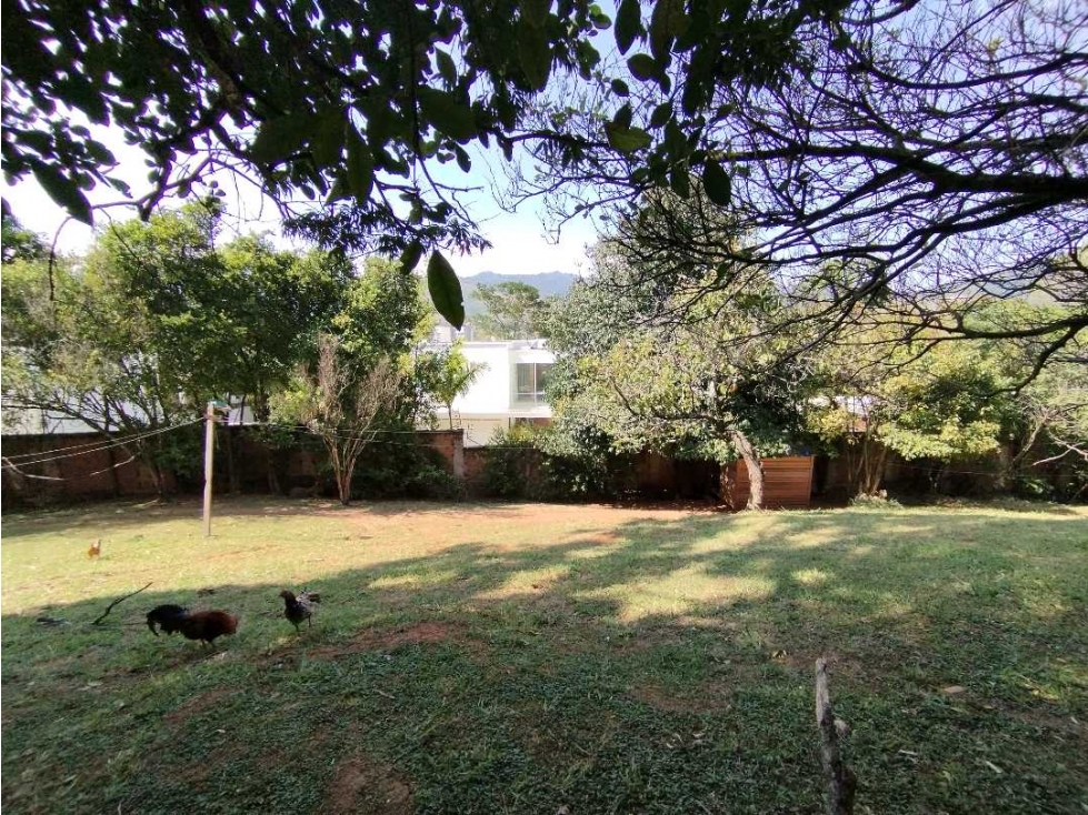 (MC) LOTE EN VENTA 3000 MTS2 MAMEYAL VIA CRISTO REY — foto 2