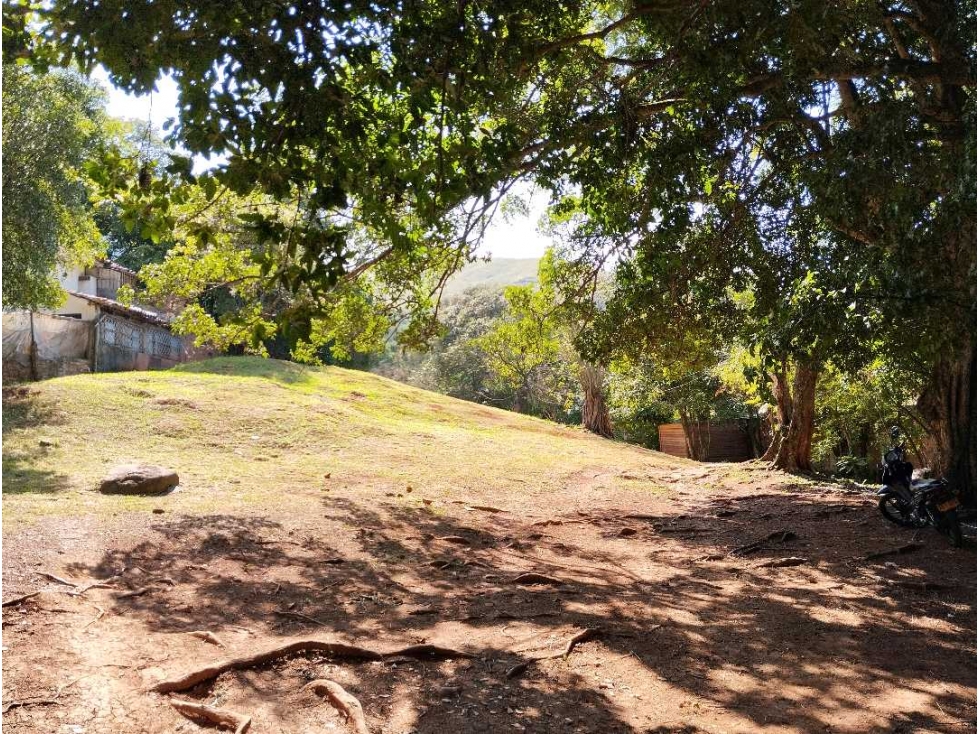 (MC) LOTE EN VENTA 3000 MTS2 MAMEYAL VIA CRISTO REY — foto 4