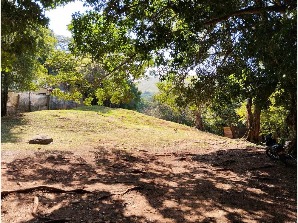 (MC) LOTE EN VENTA 3000 MTS2 MAMEYAL VIA CRISTO REY — foto 6