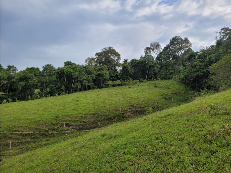 (MC) Lote en Venta en El Lago Calima - 6