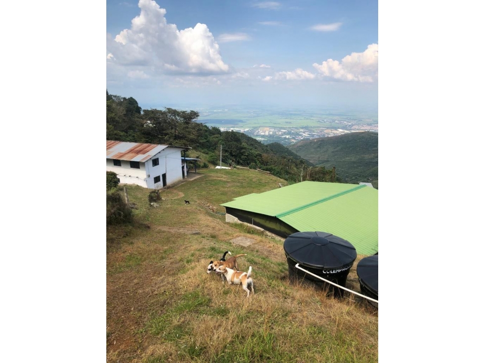(MC) Lote independiente en Venta Dapa Cali — foto 3
