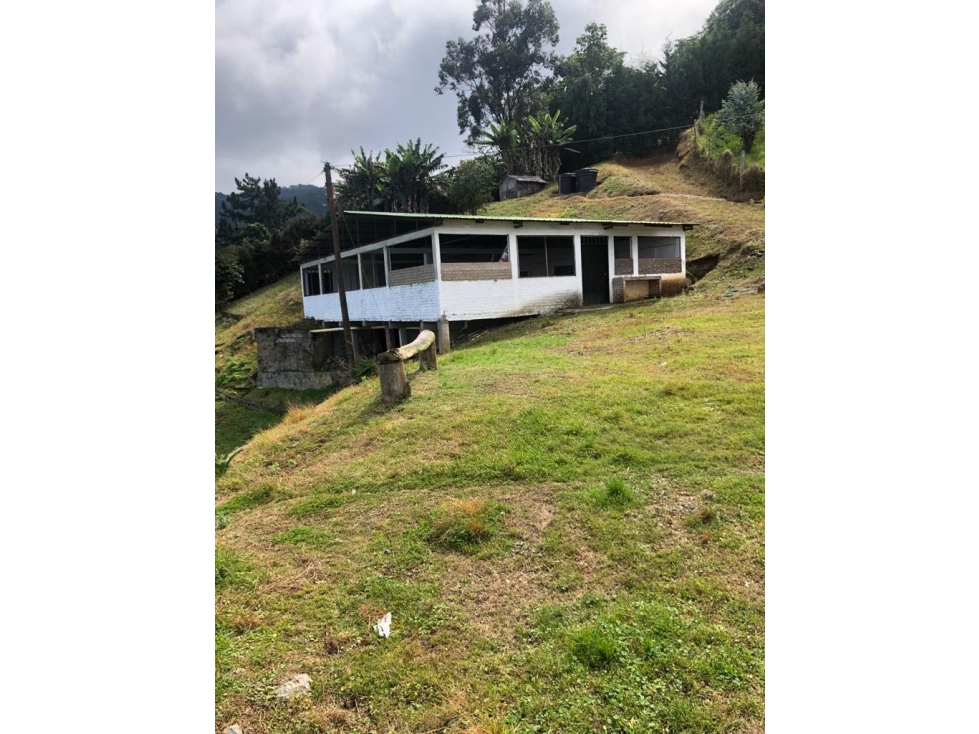 (MC) Lote independiente en Venta Dapa Cali — foto 5