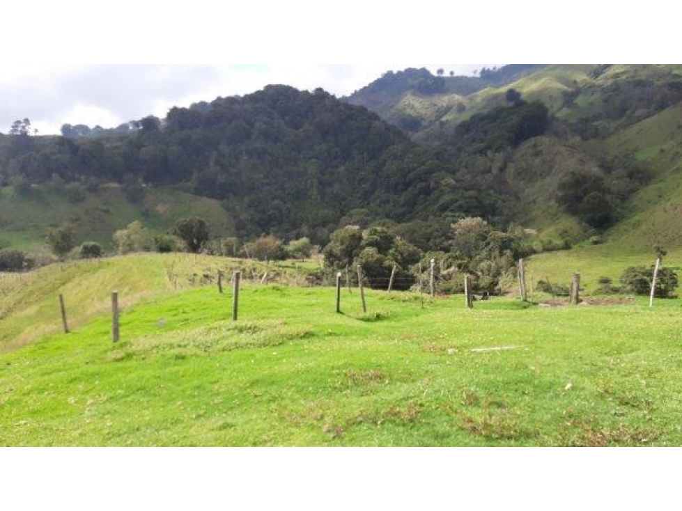 MEJORAS CONSTRUIDAS en Gestion - Roncesvalles, Tolima