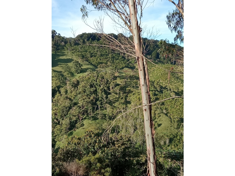 MEJORAS CONSTRUIDAS en Gestion - Roncesvalles, Tolima