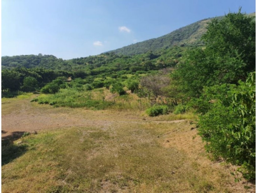 Nave Industrial y Terreno Agrícola en Venta - Colima 40,687 m² - 2